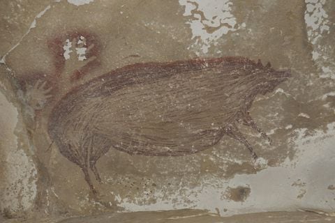 La pintura rupestre más antigua del mundo fue encontrada en Indonesia. Fue pintada por lo menos hace 45,500 años. Foto: MaximeAubert / Griffith University / AFP