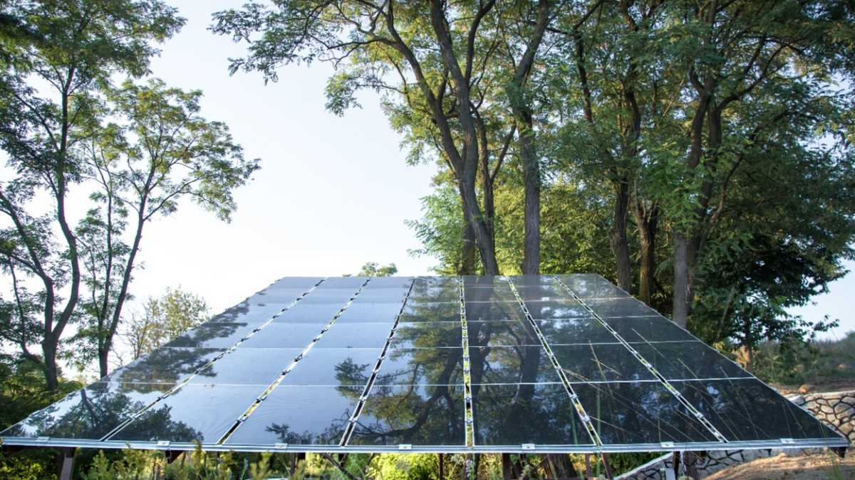 La energía solar, eólica y de la biomasa se están convirtiendo en soluciones efectivas y sostenibles para la ruralidad colombiana.