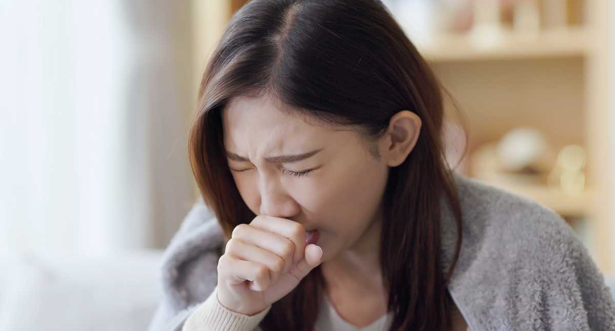 The medicinal herb to end coughs and quickly remove phlegm