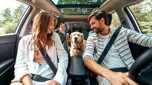 Toda la familia conduce durante el fin de semana. Mamá y papá con su hija y un perro labrador están sentados en el auto. Ocio, viajes, turismo.