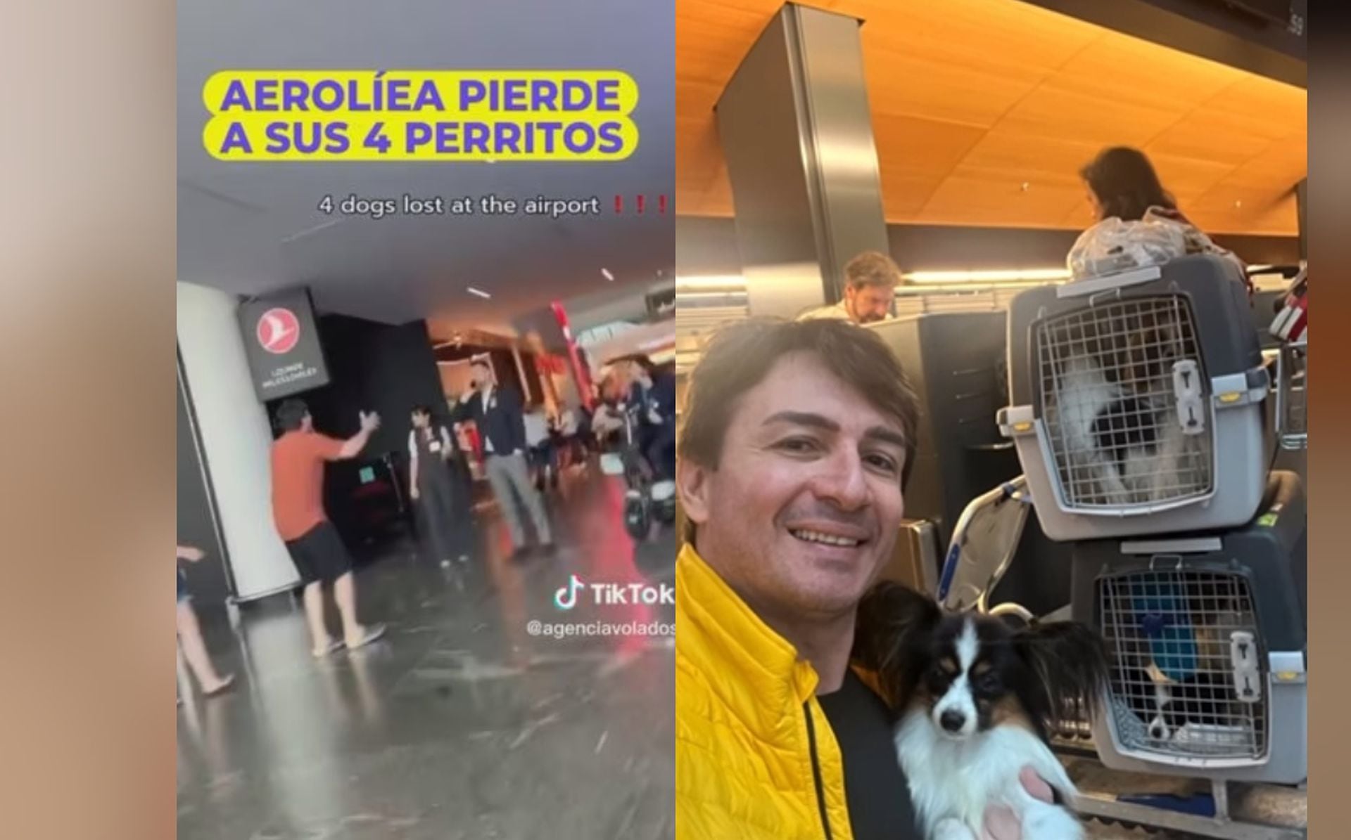 Video | a perros perdidos del hombre rompió en llanto en aeropuerto de Turquía