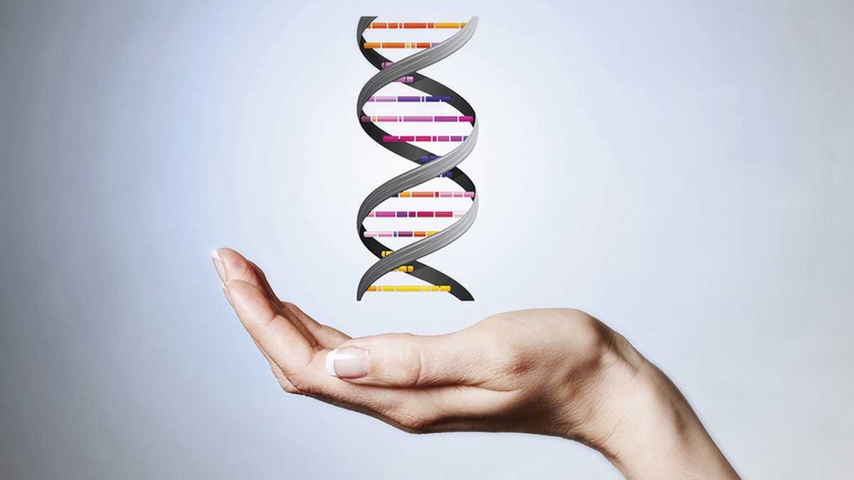 La genética es el campo de estudio de la biología que busca comprender y explicar cómo se transmite la herencia biológica de generación en generación a través del ADN.