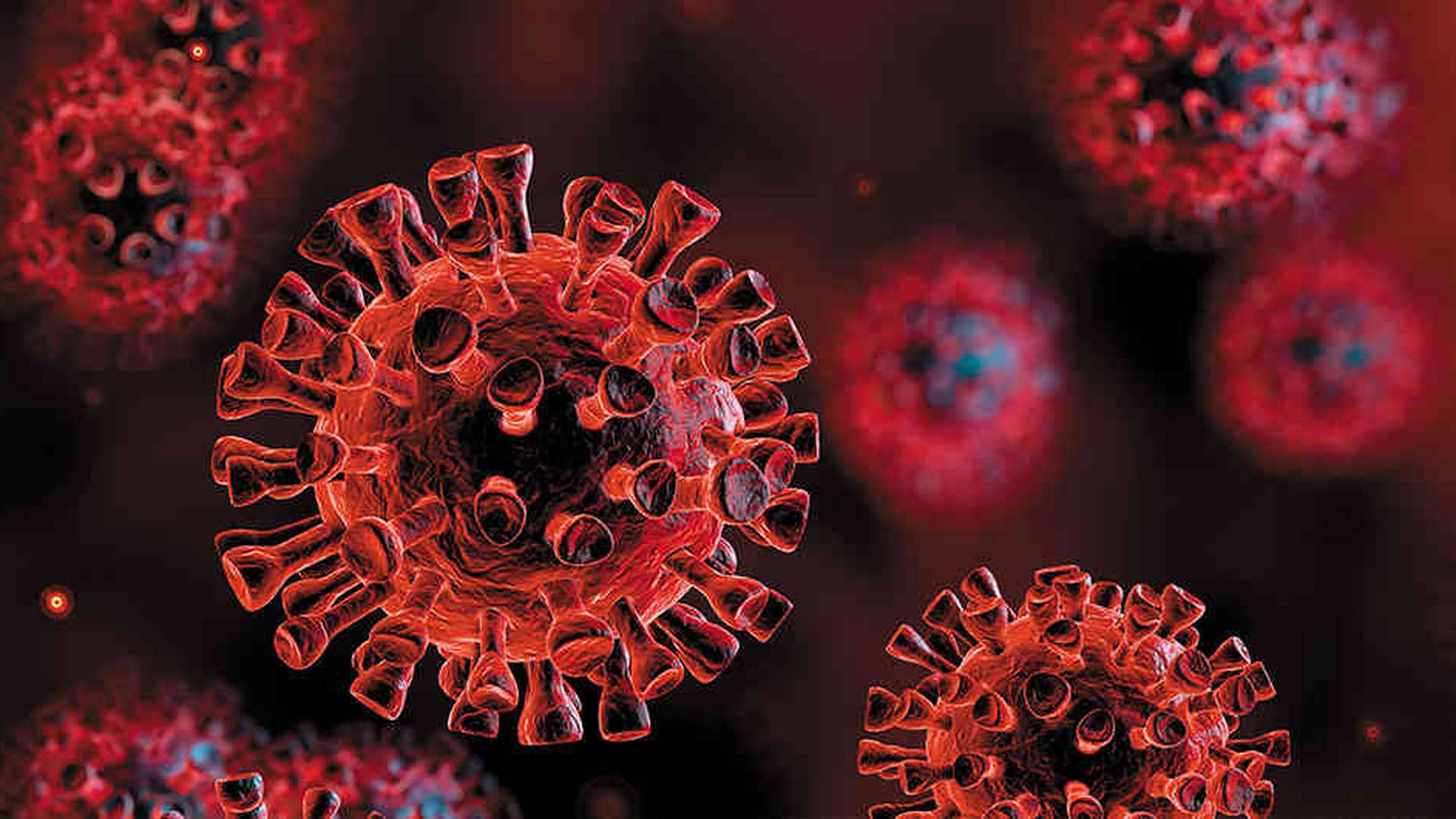Por qué es un misterio el origen del coronavirus?