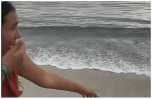 Una internauta ha generado un revuelo en las redes sociales al mostrar una escena inusual y espeluznante en la playa.