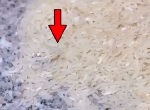 arroz dañado