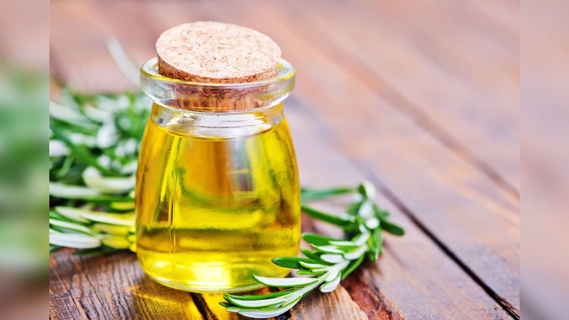 Tiene el aceite de orégano beneficios para la salud?