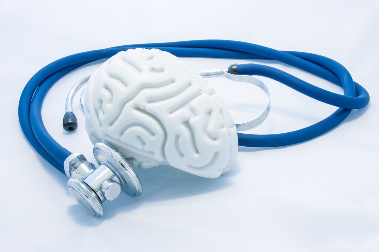 El modelo de cerebro humano con circunvoluciones y estetoscopio azul están sobre fondo blanco uniforme. Concepto de salud fotográfica o condición patológica del cerebro humano, diagnóstico de enfermedades del sistema nervioso