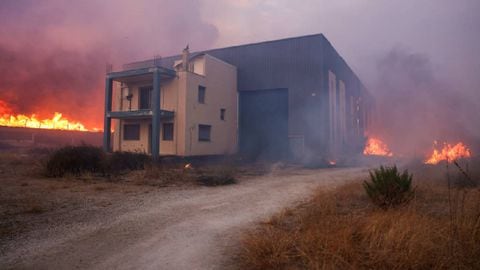 Las llamas se elevan junto a una fábrica, mientras un incendio forestal golpea a Sesklo (Grecia).