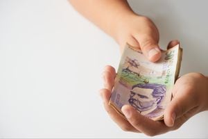 Hands holding Colombian banknotes in an organized manner on a white background