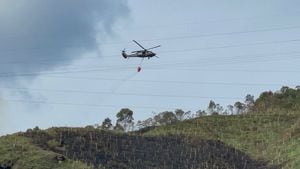 Fue necesaria la activación de la Fuerza Aérea Colombiana con un helicóptero con bambi bucket, con el que se realizaron 9 descargas