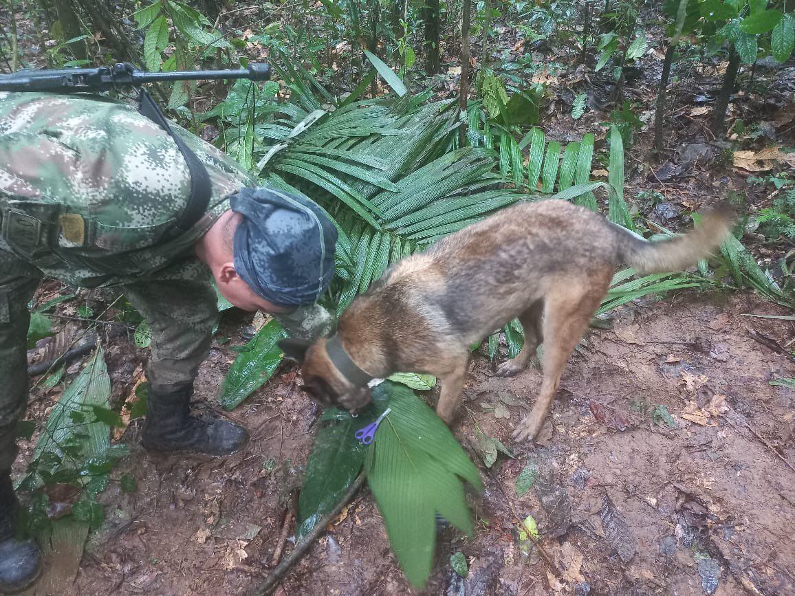 Miembros del Ejército encontraron pistas de su sobrevivencia en la selva