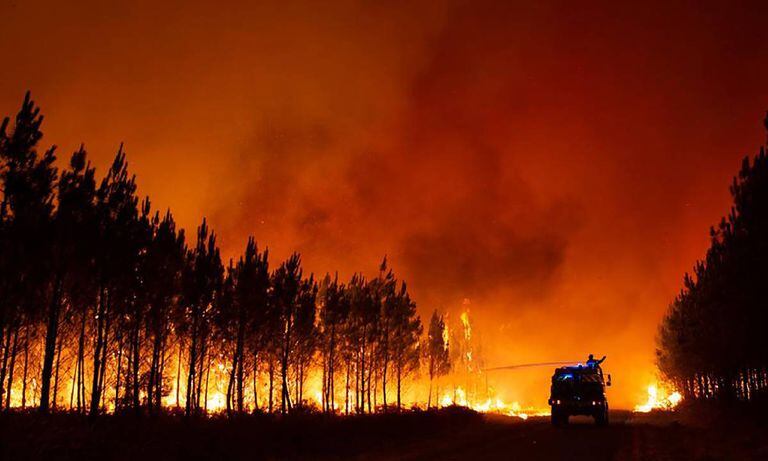 Francia, España y Portugal, los países más afectados por incendios forestales en medio de ola de calor en Europa