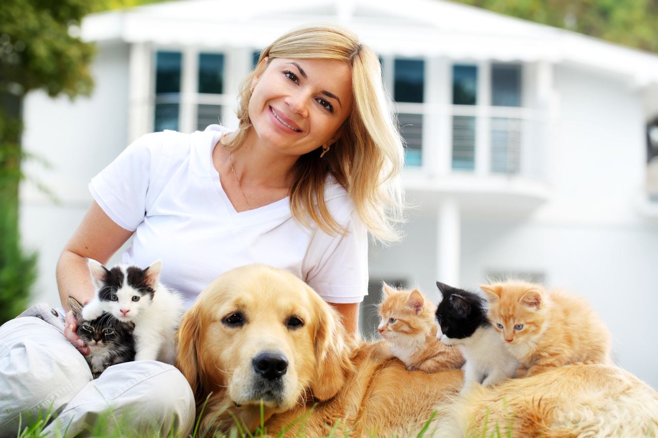 Hermosa chica disfruta al aire libre con un grupo de pequeños gatos y perros. Mirando a la cámara.