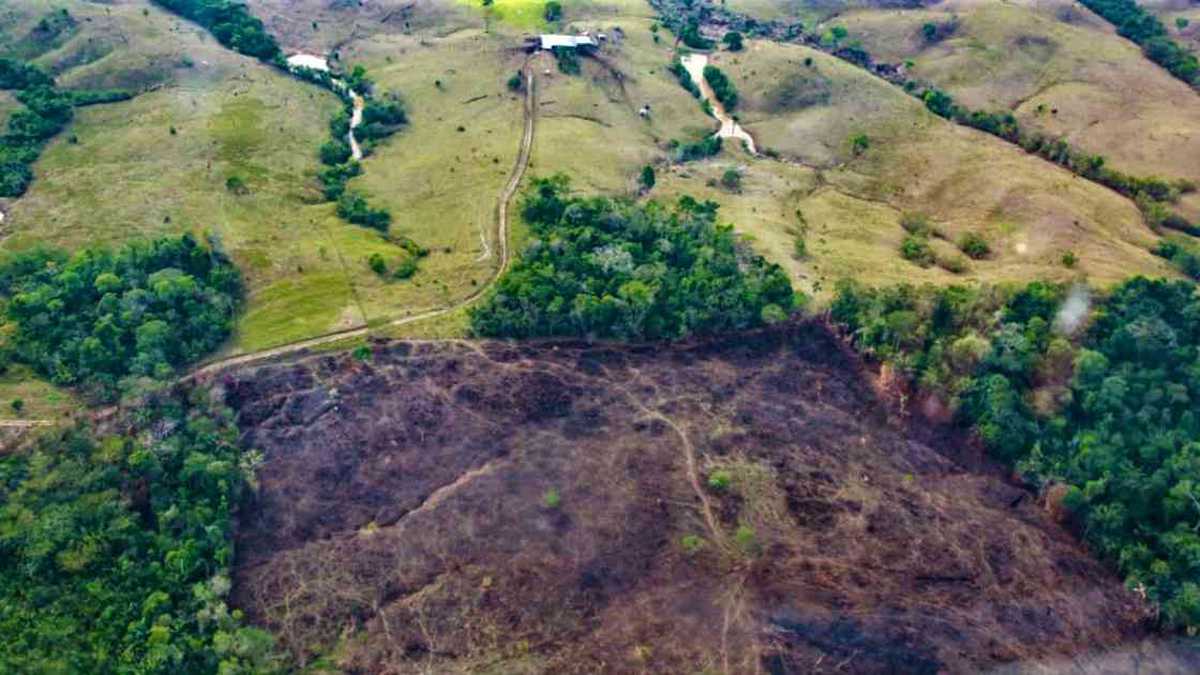 El incremento de la deforestación en el Parque Nacional Sierra de la Macarena ha sido impulsado por las disidencias de las Farc que buscan acaparar tierras para cultivar coca. Foto: Gobernación del Meta. 
