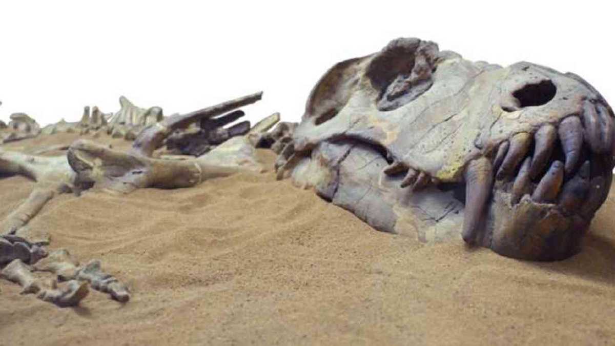 Los dinosaurios murieron hace cerca de 66 millones de años.  Foto: Getty Images