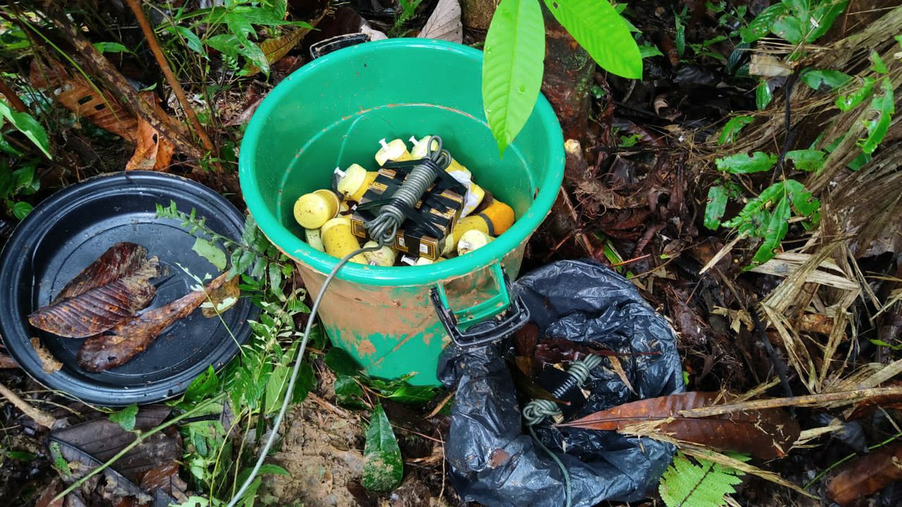 El depósito de minas antipersonales estaba escondido en un área boscosa.