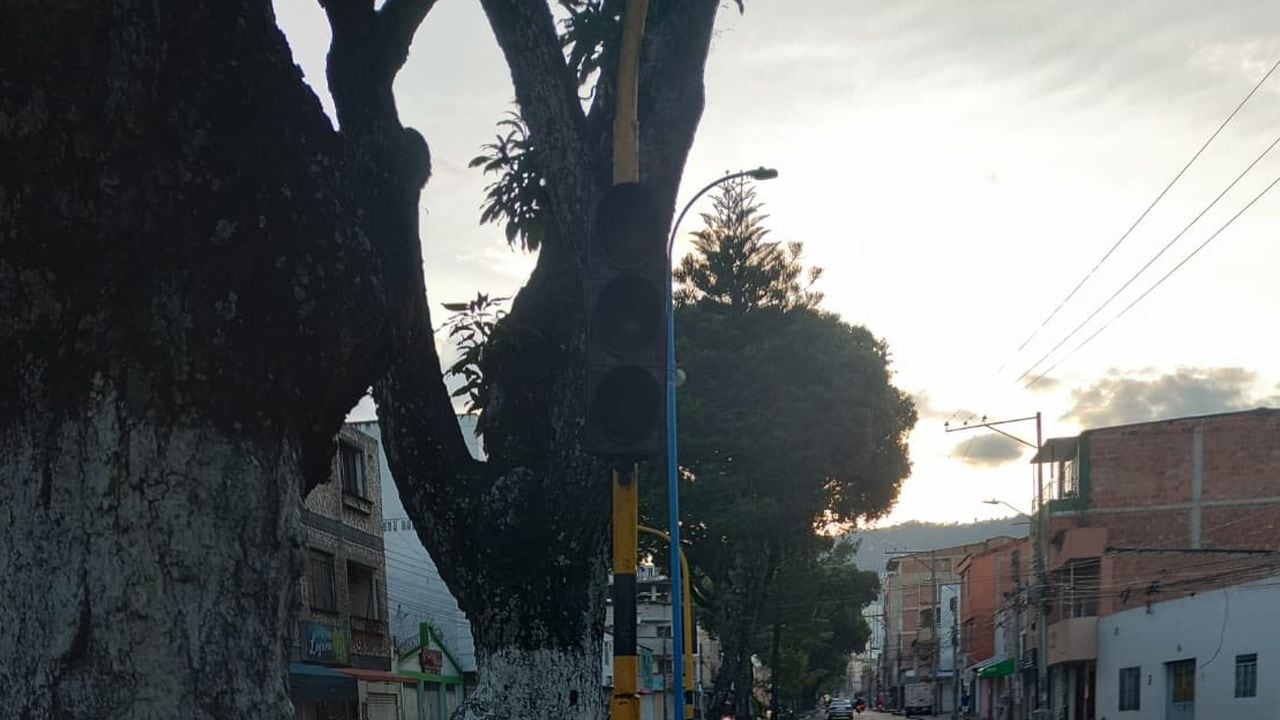 Daño y robo de semáforos en Bucaramanga.