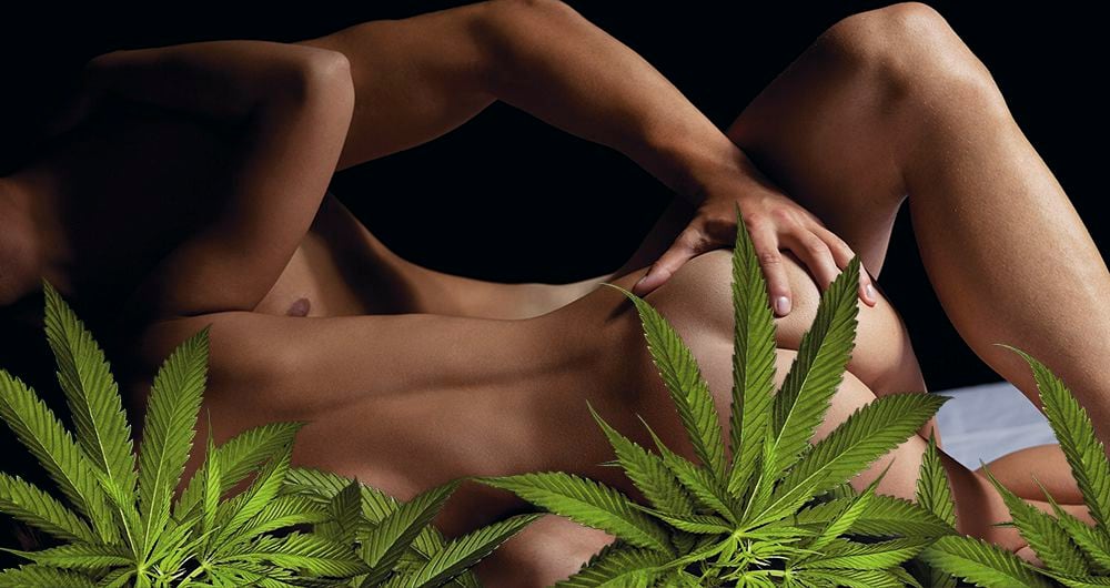 Algunos sexólogos afirman que el cannabis puede aumentar el riesgo de cáncer y problemas cardiovasculares, así como producir alteraciones en el sistema inmunológico. Por eso recomiendan usarlo solo bajo supervisión de un médico. 