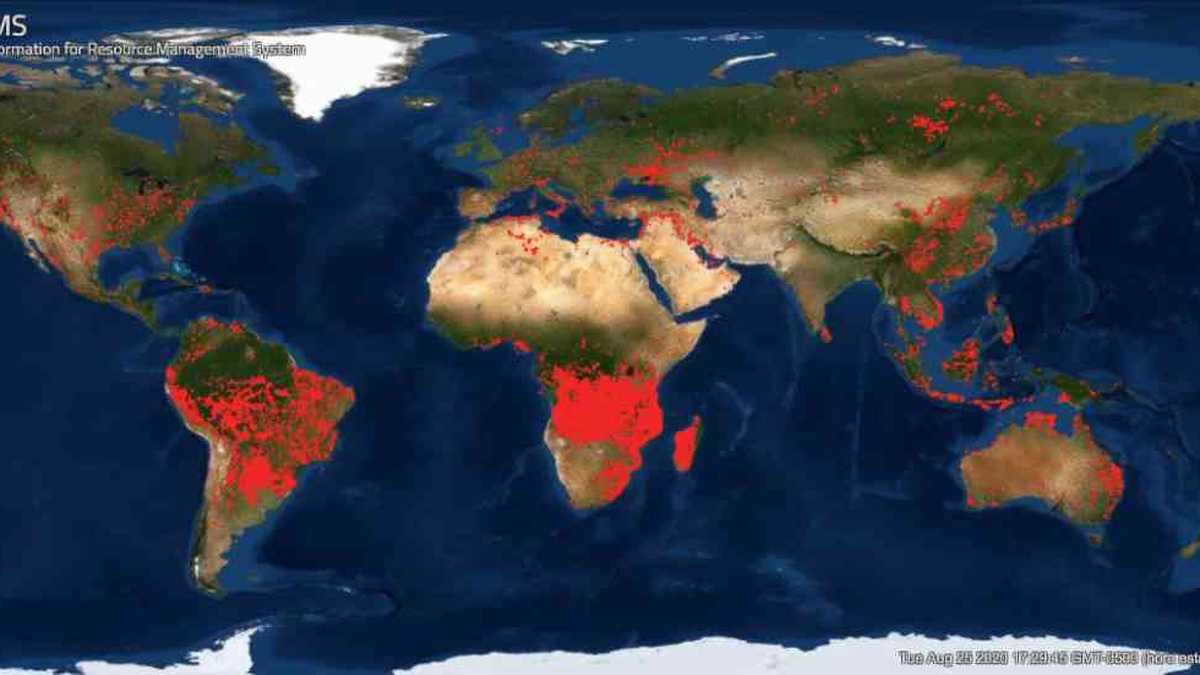 El mapa de la NASA muestra cómo avanzan los incendios en la Amazonia, África y Estados Unidos. Foto: Firms