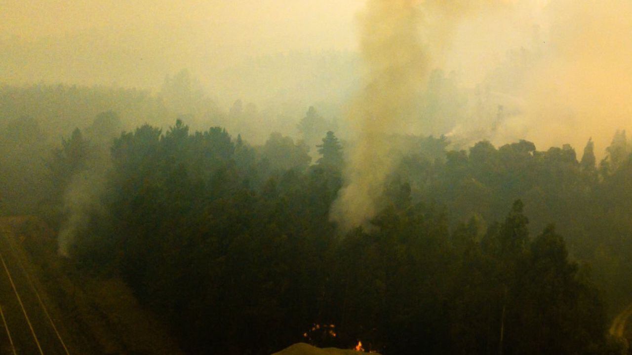 Varias hectáreas de bosque han sido arrasadas por las llamas