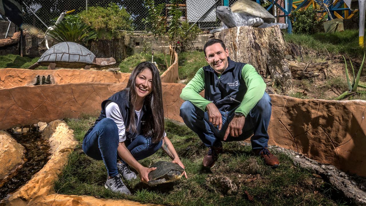 Alejandro Zapata y Carolina Castaño lideran Animal Bank, un banco que respalda la conservación de los animales y su hábitat, apoyando numerosas iniciativas en el país.
