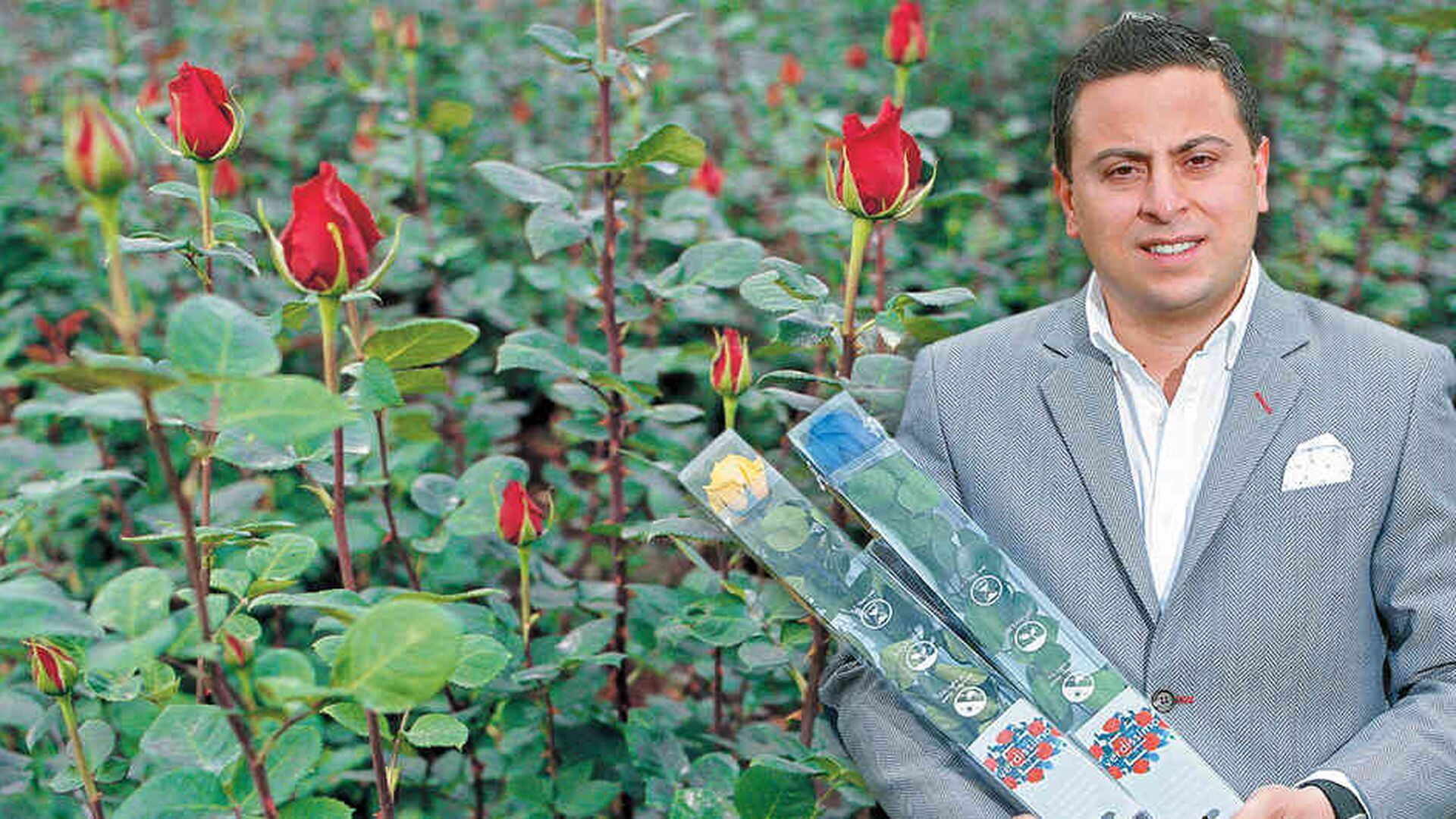 Innovaflora, empresa colombiana que exporta flores preservadas