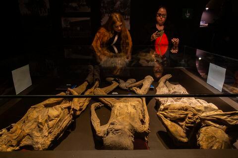 Visitantes observan momias en el Museo de las Momias de Guanajuato en México.