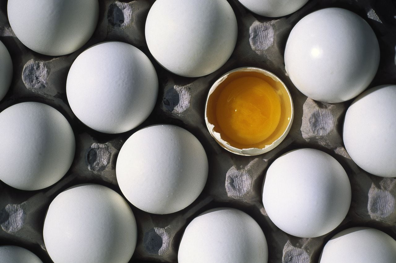 El huevo puede estar contaminado de Salmonella.