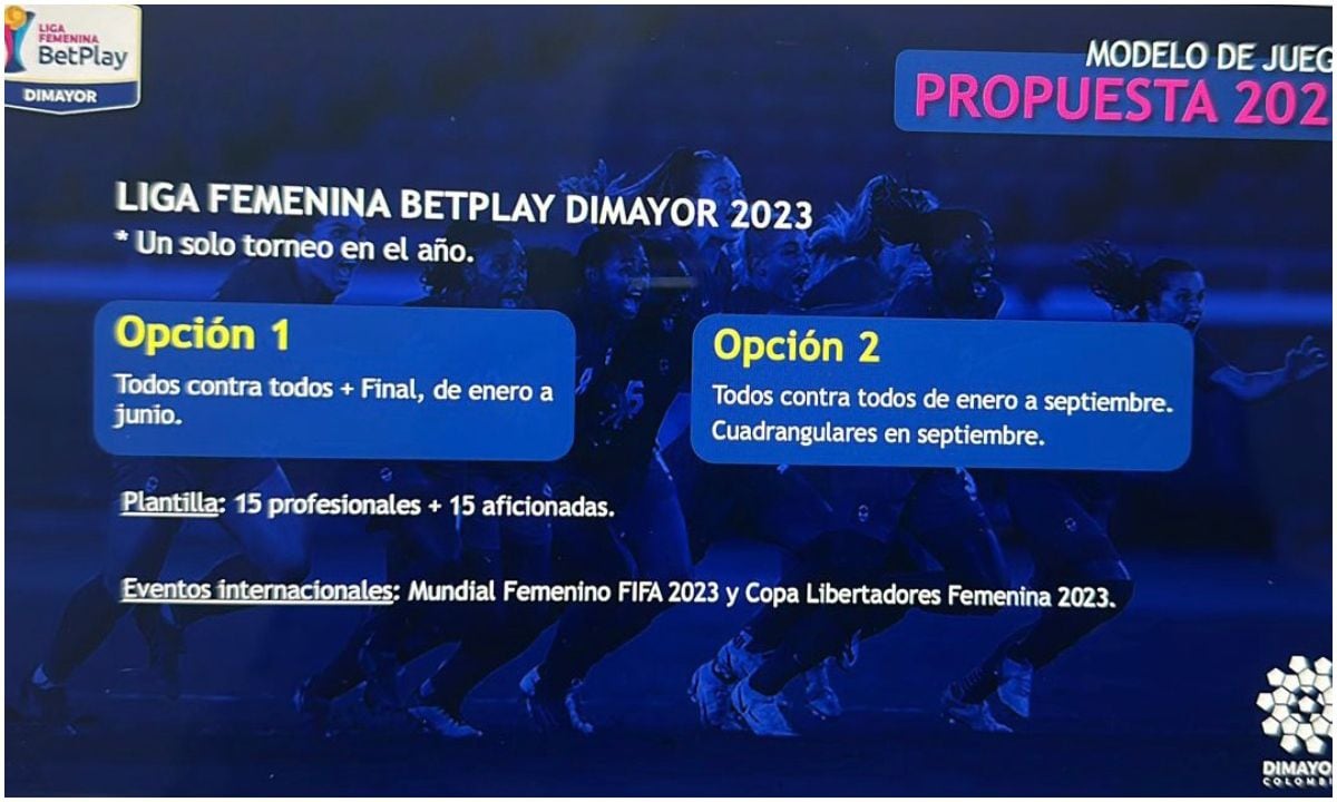 Propuesta Liga femenina 2023