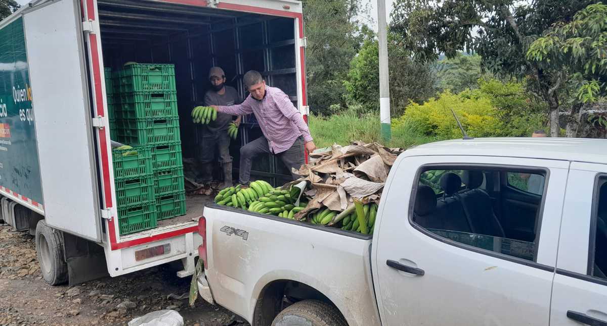 La Gobernación de Cundinamarca lanzó “Misión Rescate”, una estrategia de la para comprar las cosechas a los agricultores afectados por la emergencia invernal