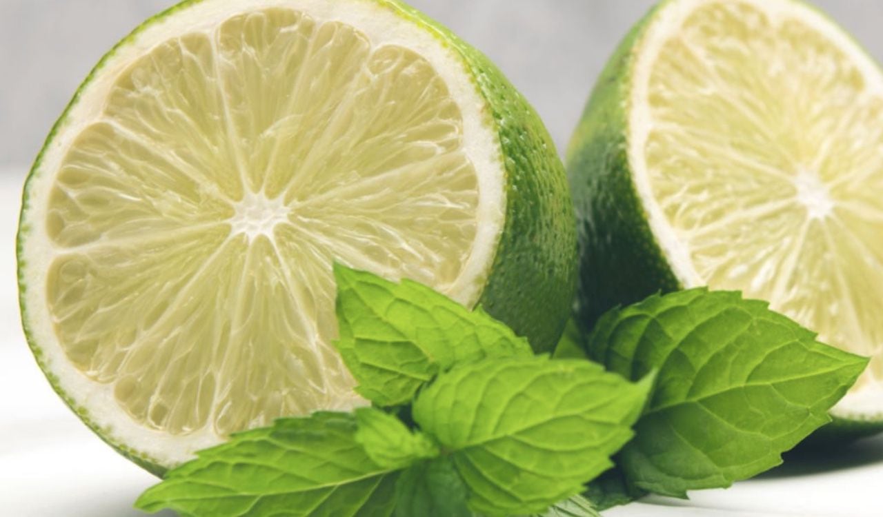 El poder del limón se potencializa al mezclarlo en infusión con la menta