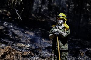 A firefighter works at the site of a forest fire in Nemocon, Colombia on January 26, 2024. Yesterday Colombia asked the member countries of the United Nations for help to extinguish around thirty forest fires that are ravaging several regions and drowning the capital, Bogota, in smoke. (Photo by Luis ACOSTA / AFP)