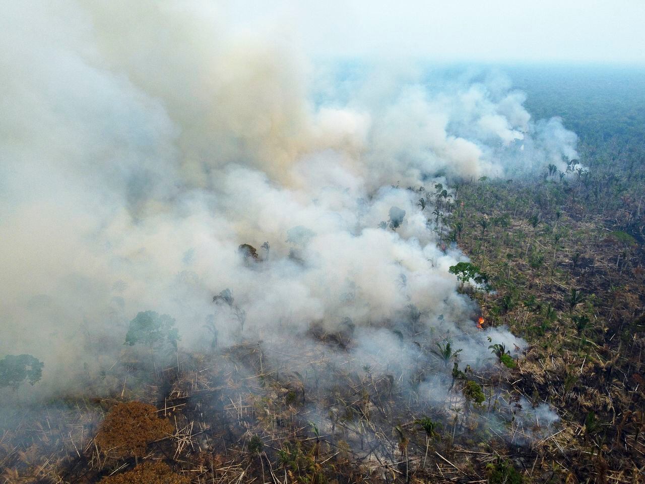 Hasta el domingo, se contabilizaron 75.592 focos de incendio, frente a los 75.090 detectados en todo 2021. (Photo by MICHAEL DANTAS / AFP)