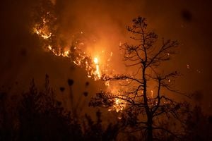 Más de 2.000 bomberos siguen movilizados en Portugal para combatir cuatro grandes incendios que siguen activos de norte a sur, y que ya han quemado 13.500 hectáreas. (Imagen de archivo).