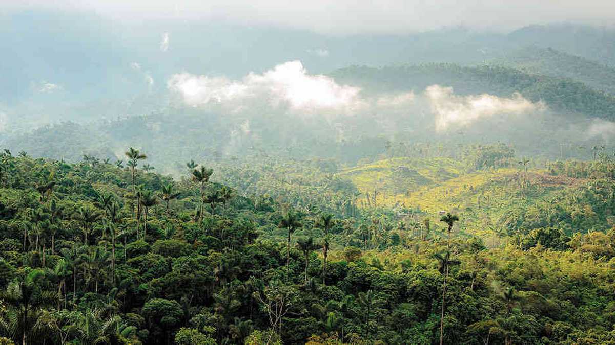 La Serranía de los Churumbelos es un área protegida muy cerca a los municipios de Villagarzón y Puerto Asís en Putumayo, y Piamonte en Cauca.