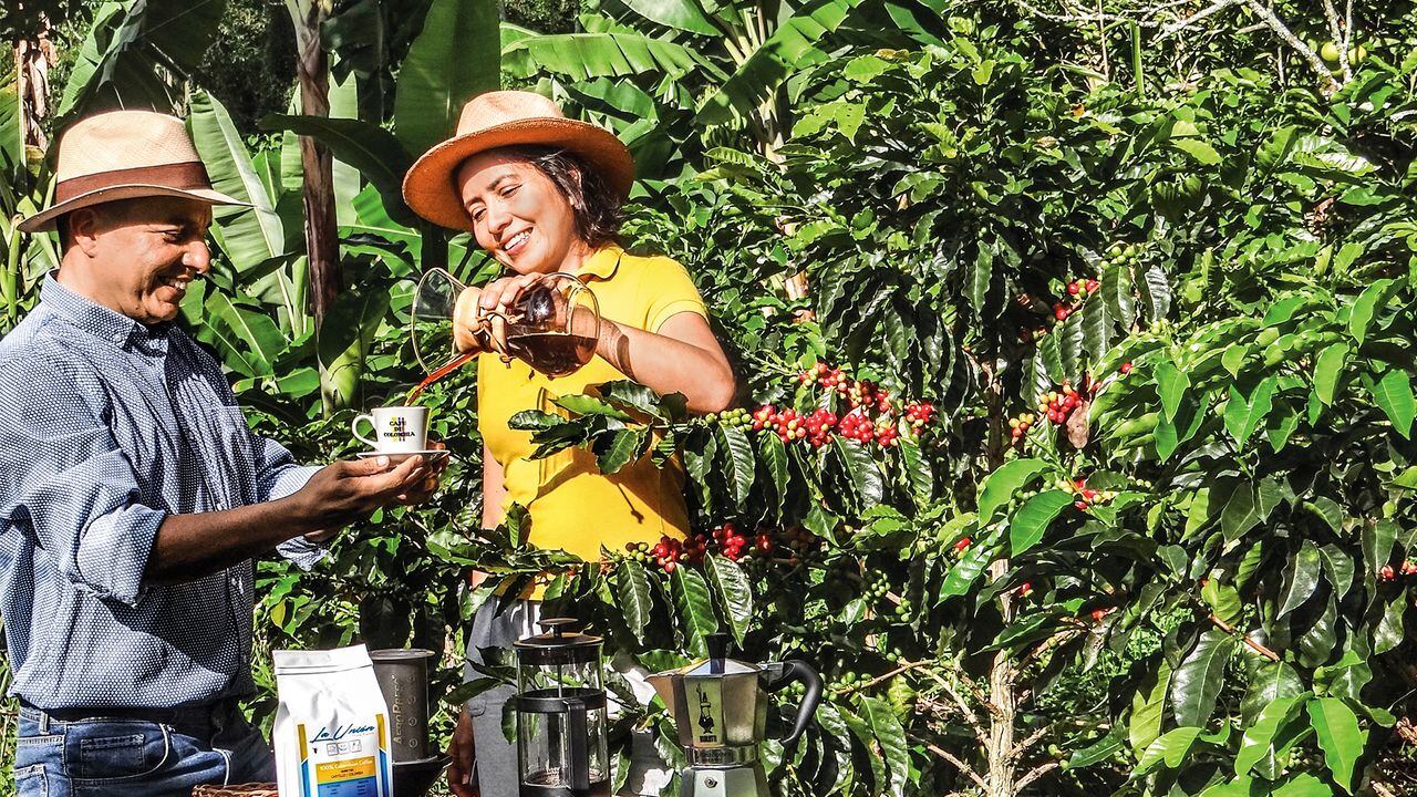 NO USAR, USO EXCLUSIVO MEJOR COLOMBIA, Especial Eje Cafetero, Mujeres