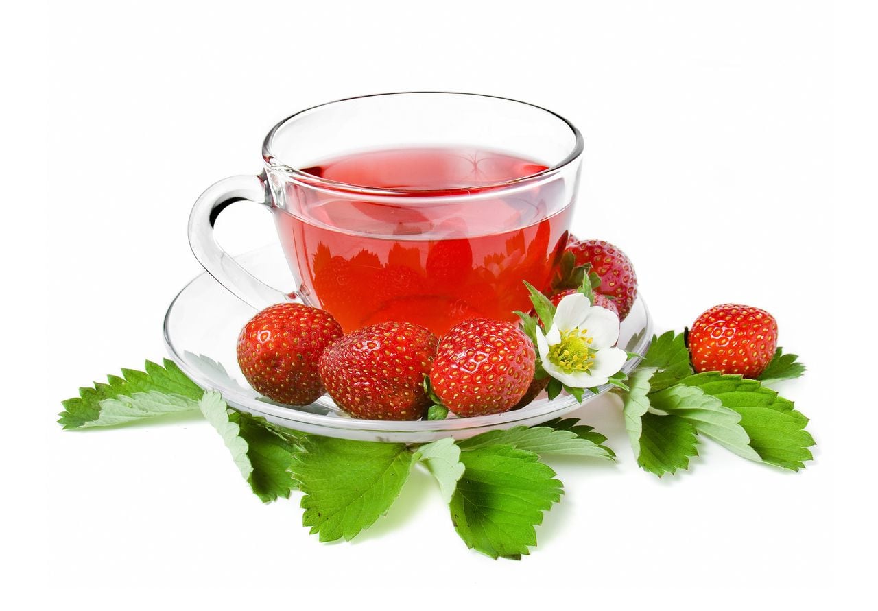 ¿Para qué sirve tomar diariamente té de frutos rojos?