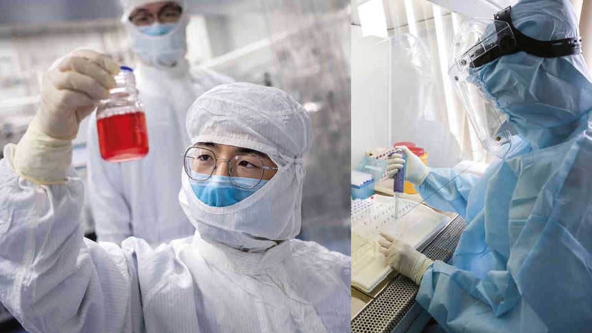 Cuatro vacunas están en la fase 3 de los ensayos clínicos, la última etapa antes de que las apruebe la FDA. Una producida por la estadounidense Moderna; otra por la Universidad de Oxford y AstraZeneca, en Reino Unido; una más por la alemana CureVac y la de Sinovac Biotech, fabricada en China.