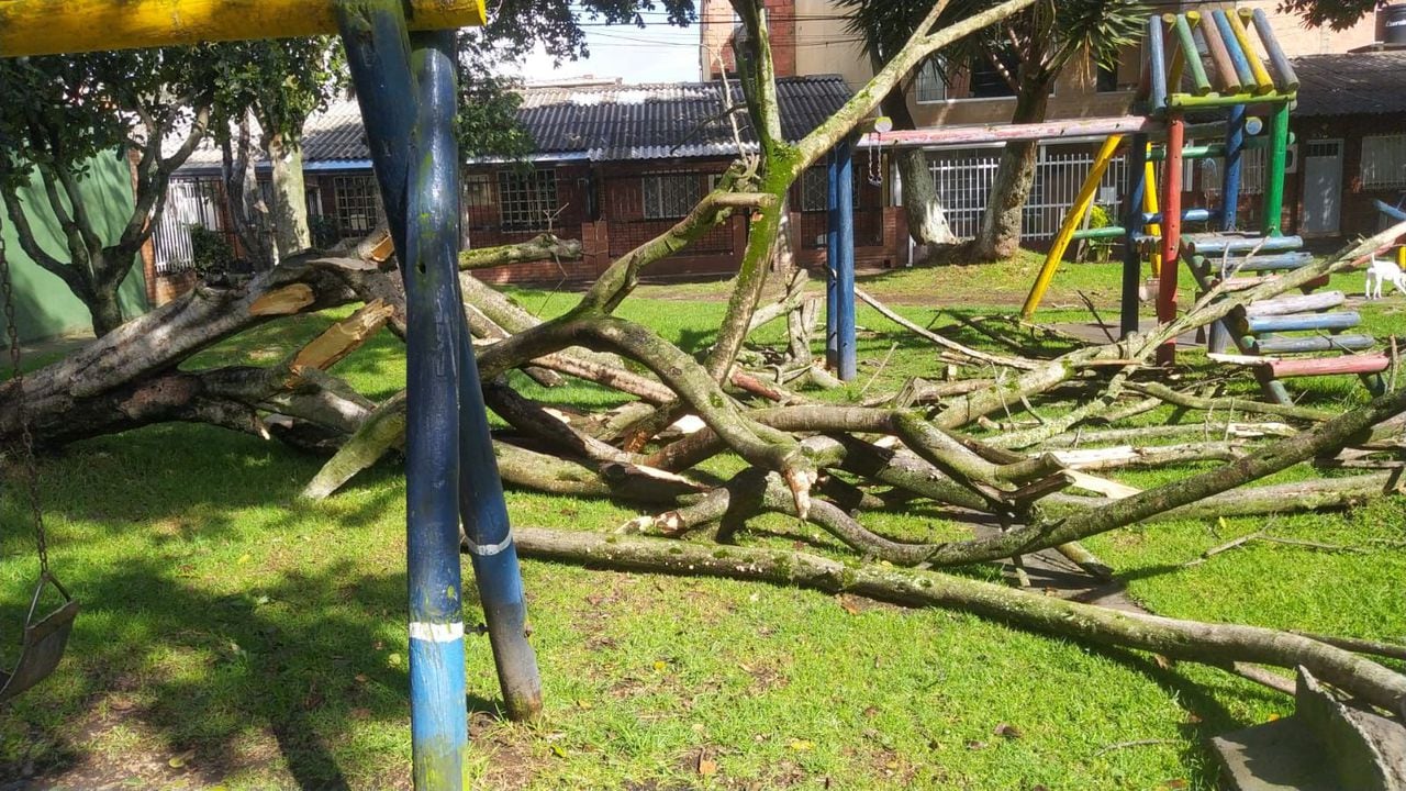 Volcamiento de árboles por las fuertes lluvias en Bogotá