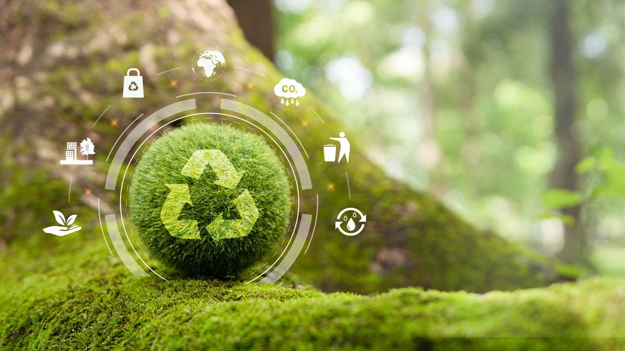 La compañía ha desarrollado alianzas con asociaciones de recicladores de Bogotá, Cali, Medellín y Bucaramanga.