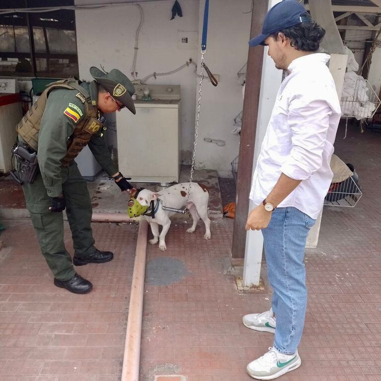 El canino fue rescatado y trasladado a la Unidad de Bienestar Animal.
