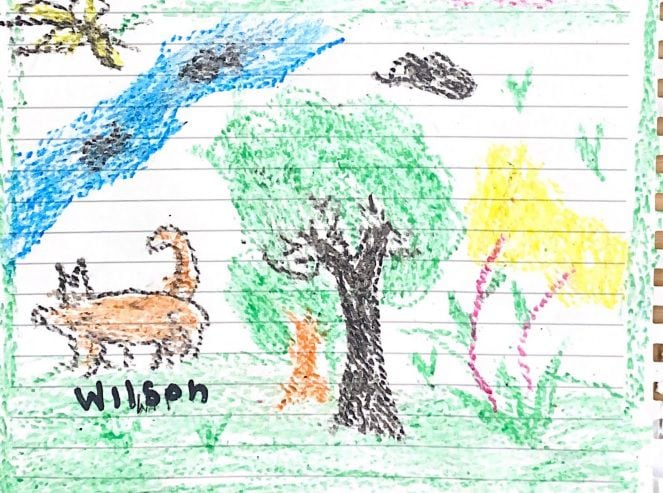 Dibujos realizados por los menores hallados en el Guaviare para Wilson, el perro que los acompañó.