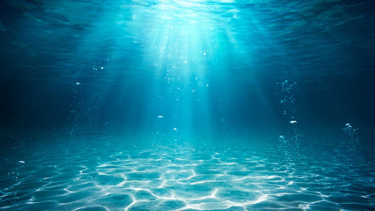 Qué le pasa al cuerpo si se toma agua de mar?