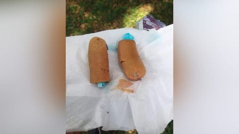 Denuncian la muerte de un perro por comer una salchicha envenenada en un parque de Cali