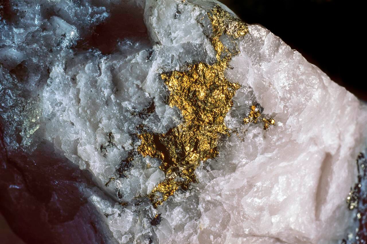Pepita de oro o veta de oro 'atrapada' en cuarzo. Industria minera de oro, Val d'Or, Quebec, Canadá