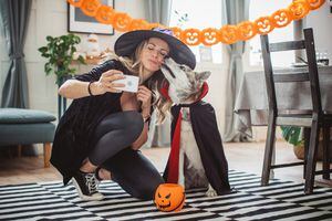 Tenga en cuenta algunas recomendaciones si decide salir con su mascota en Halloween.