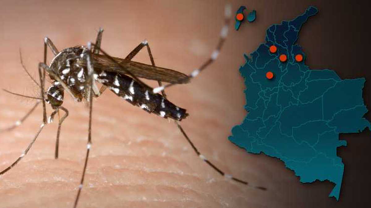 Los casos de Zika en el país se han presentado en Bolívar, Antioquia, San Andrés, Sucre y Norte de Santander. 
