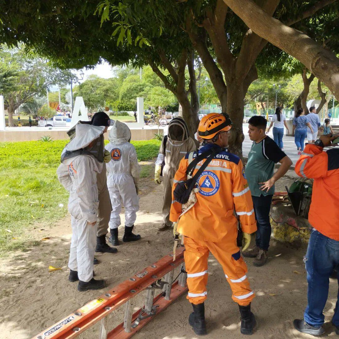 Defensa Civil y Bomberos de Valledupar atendiendo casos de abejas africanas