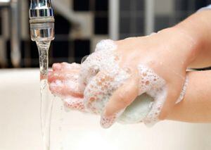 Estos jabones son usados por muchas personas que creen que están limpiando sus manos con más efectividad.