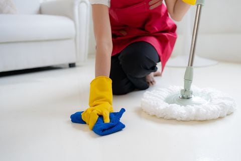 Experimente la tranquilidad de un hogar limpio y protegido al trapear con menta, una práctica que no solo embellece, sino que también desinfecta de manera natural.